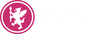 Social care like you’ve never seen it before – bold new recruitment campaign launched in Somerset