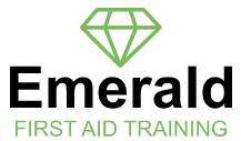 QNUK Level 3 Award in Paediatric First Aid (RQF) – Blended